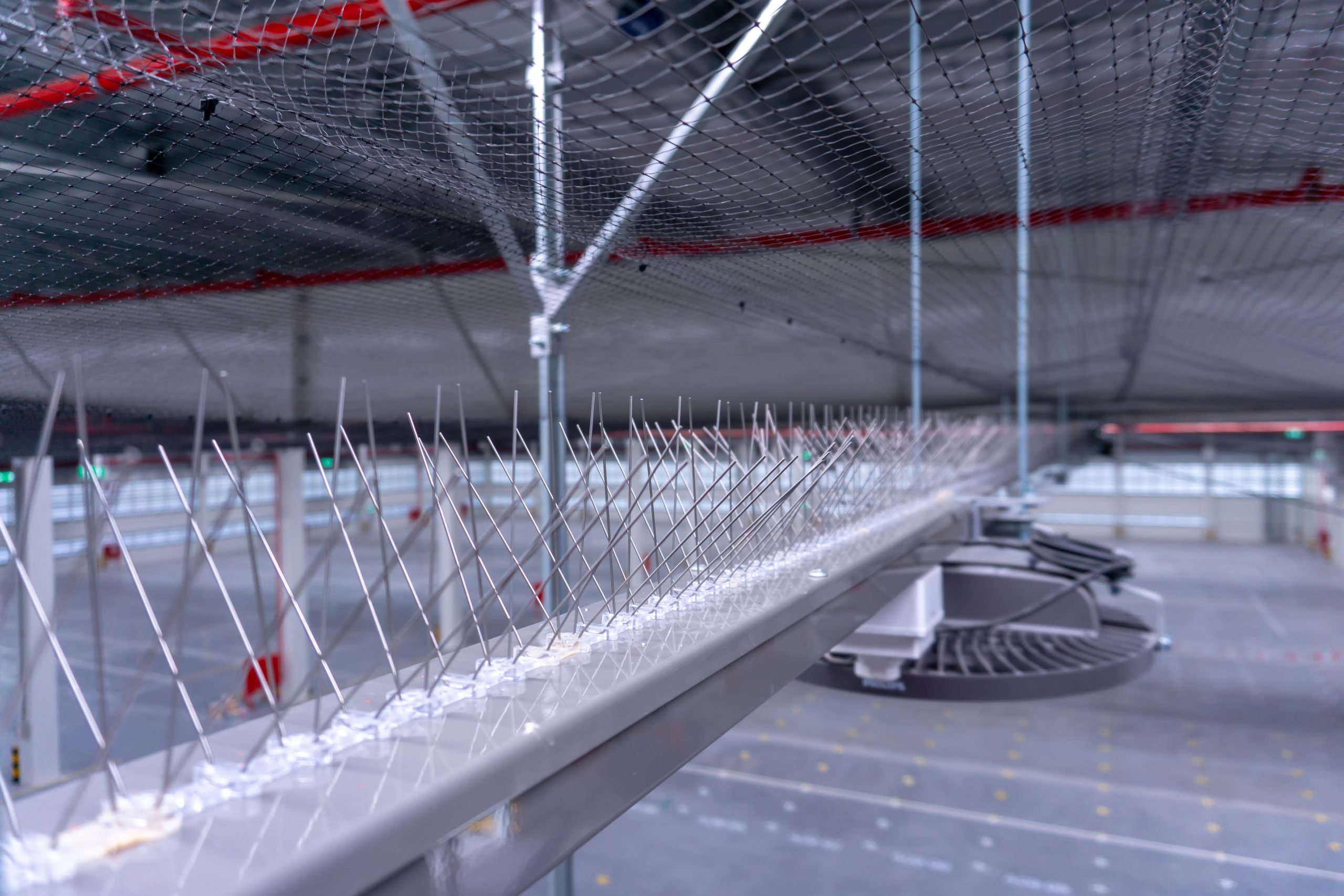 Bird spikes and netting installed in a commercial building for bird prevention