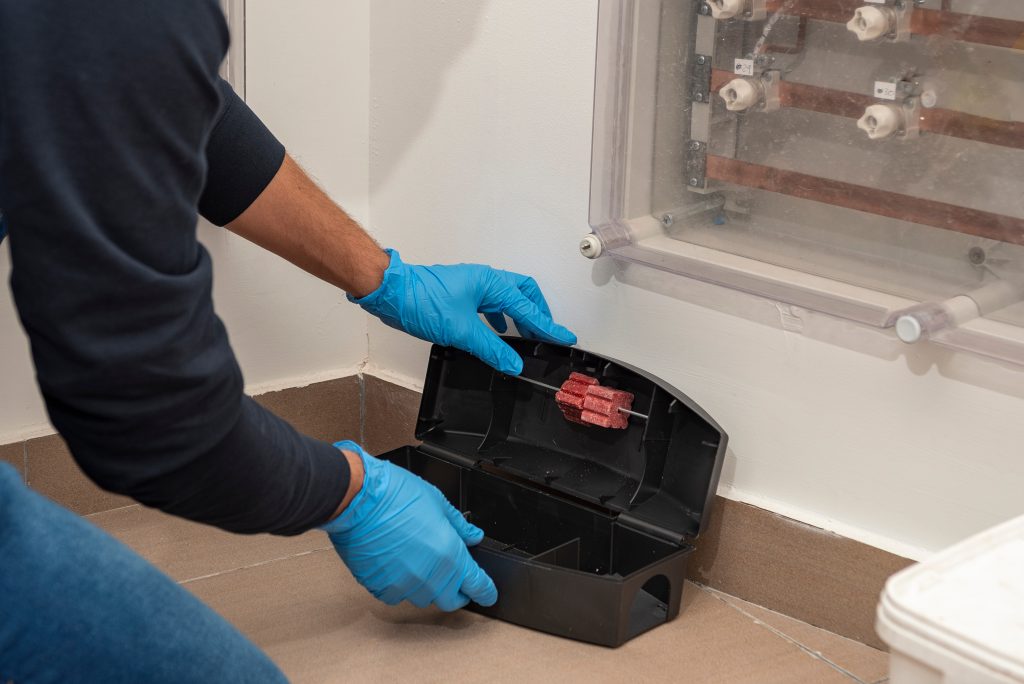 Technician placing a rodent bait station along an interior wall