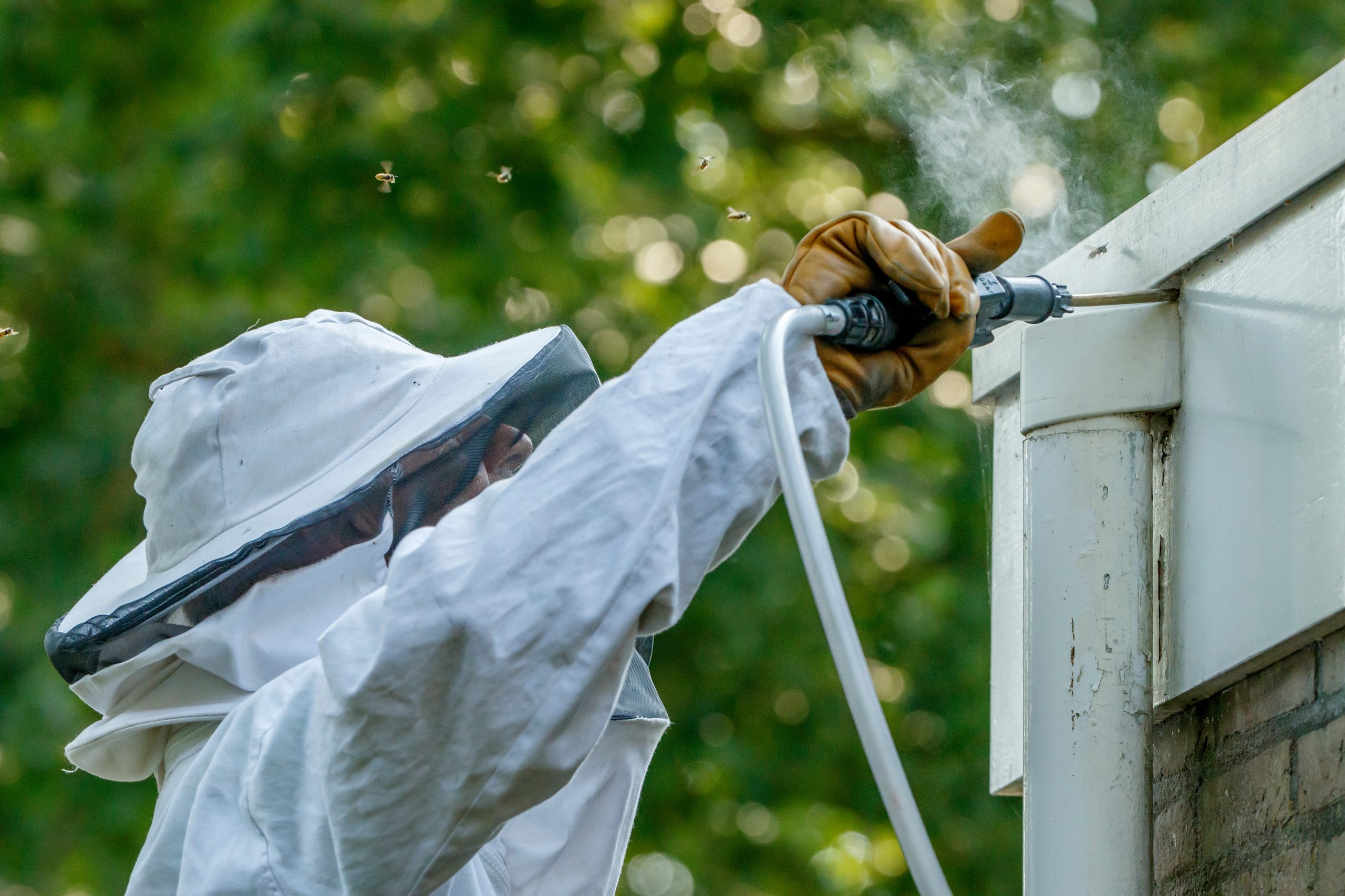 Professional wasp nest removal Ontario technician treating soffit nest