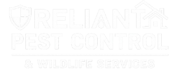 Reliant Pest Control
